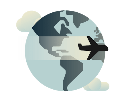 Fly flyr over hele verden.